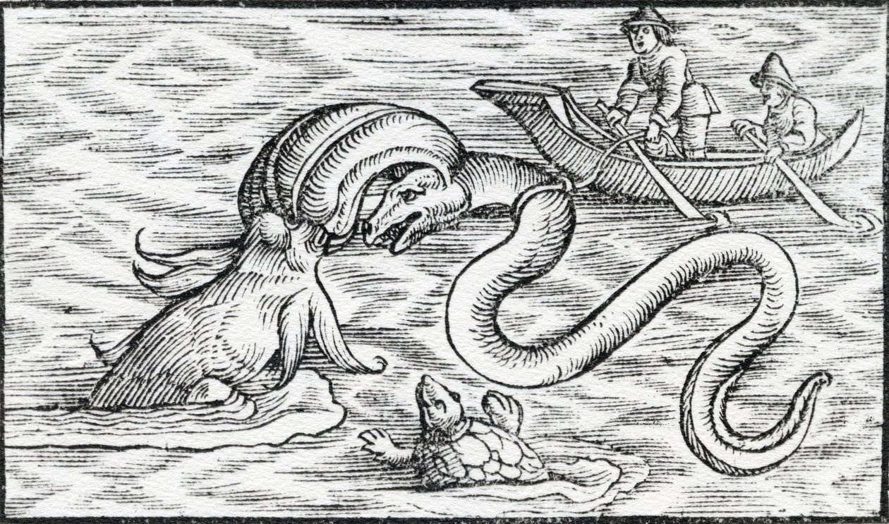 Potwory morskie, 1511 autorstwa Spanish School