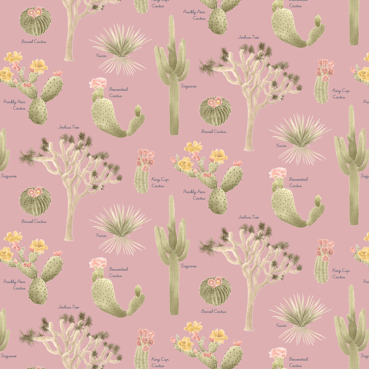 Wzór Mojave Desert Cacti, 2021 (ołówek grafitowy i cyfrowy) autorstwa Stacy Hsu