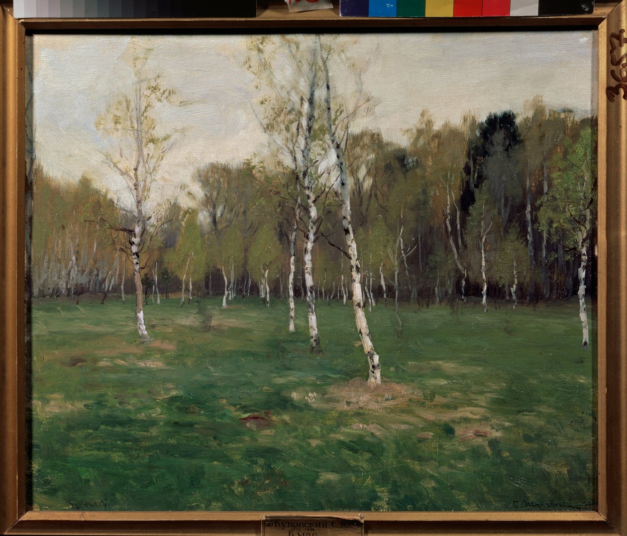 W maju. Malarstwo Stanisława Julianowicza Żukowskiego (Żukowski) (1873-1944), olej na płótnie autorstwa Stanislav Joulianovitch Joukovski