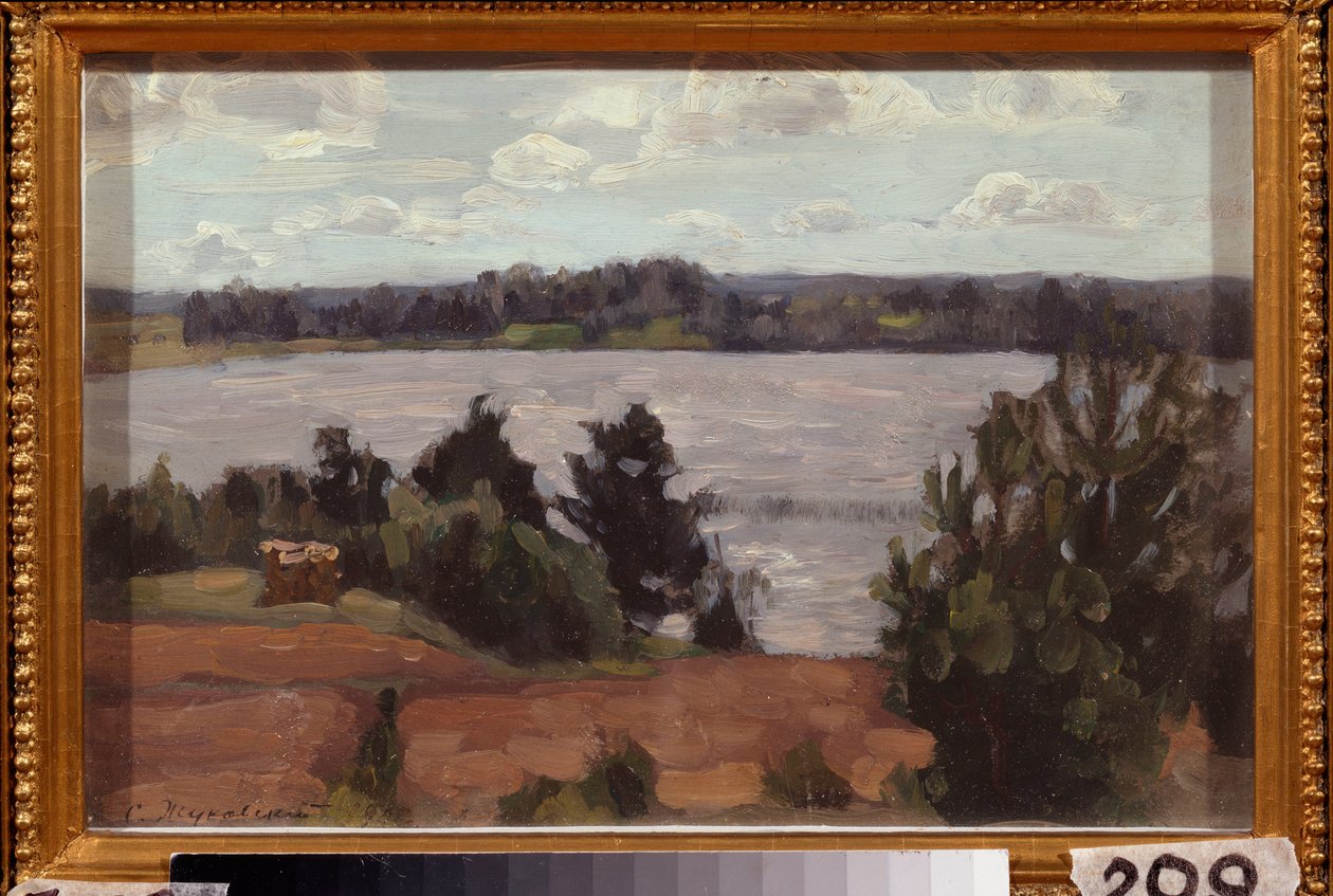 Na brzegu jeziora. Praca Stanisława Julianowicza Żukowskiego (Żukowski) (1873-1944), olej na tekturze autorstwa Stanislav Joulianovitch Joukovski