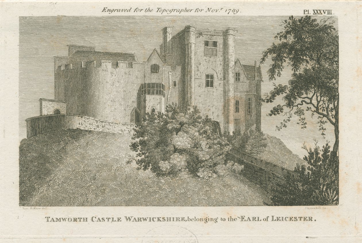 Zamek Tamworth: grawerowanie, bd [ok. 1799] (druk) autorstwa Stebbing Shaw