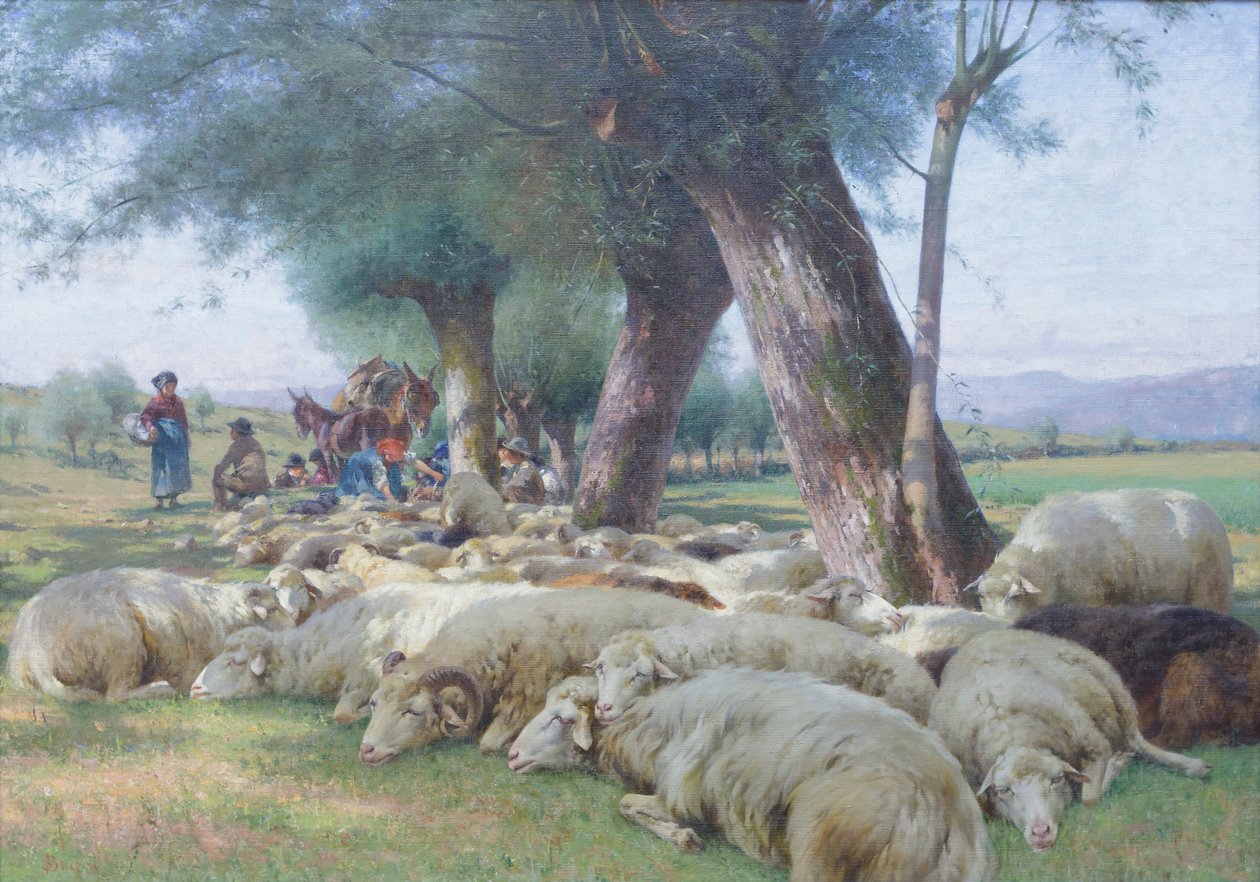 Owca w spoczynku, ok. 1900 (olej na płótnie) autorstwa Stefano Bruzzi