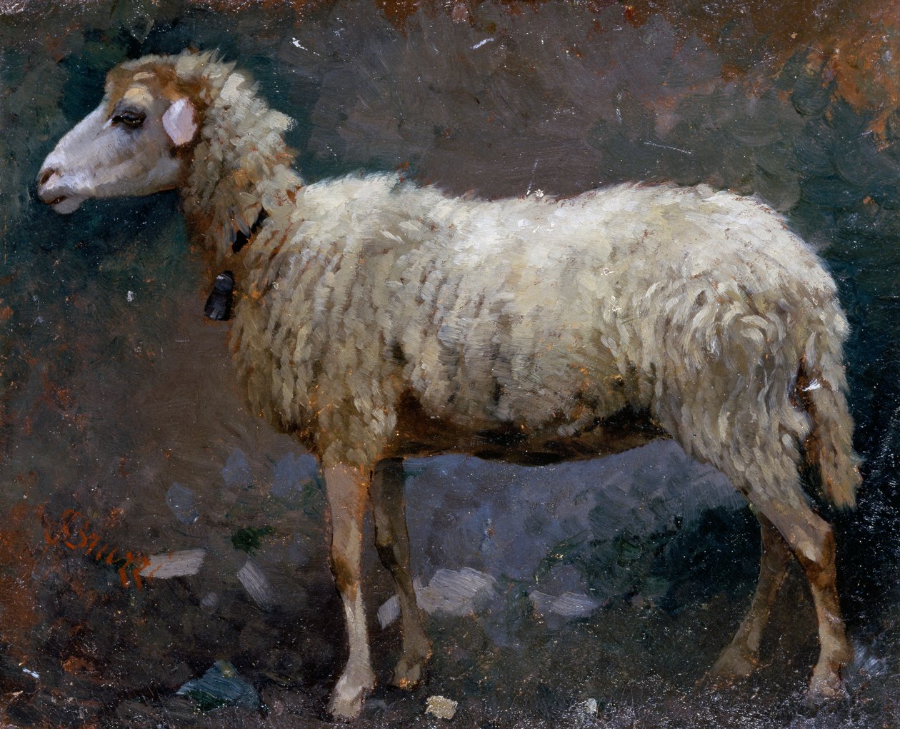 Owca z profilu, obraz Stefano Bruzzi (1835-1911), olej na tekturze autorstwa Stefano Bruzzi