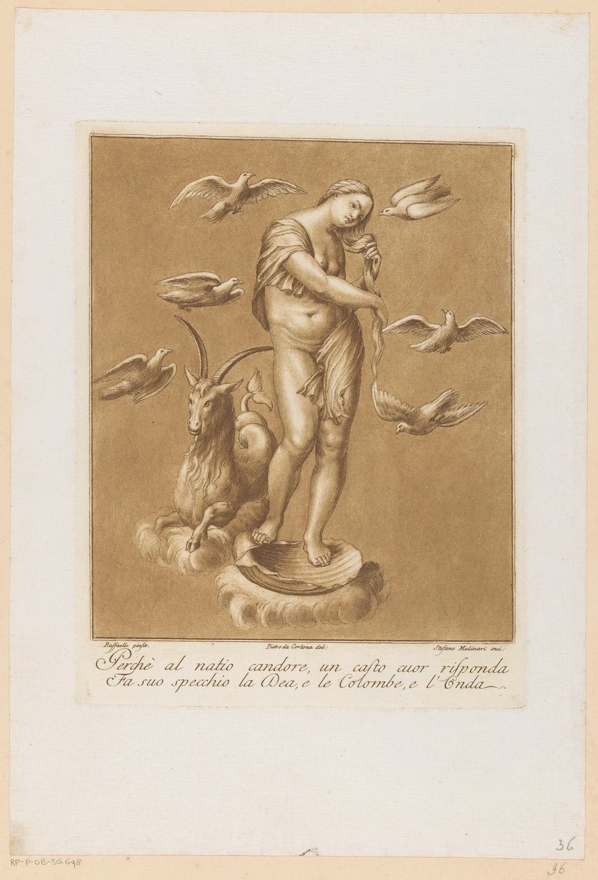 Wenus Anadyomene Plafondschilderingen van de Loggia di Galatea in de Villa Farnesina te Rome (tytuł serii) autorstwa Stefano Mulinari