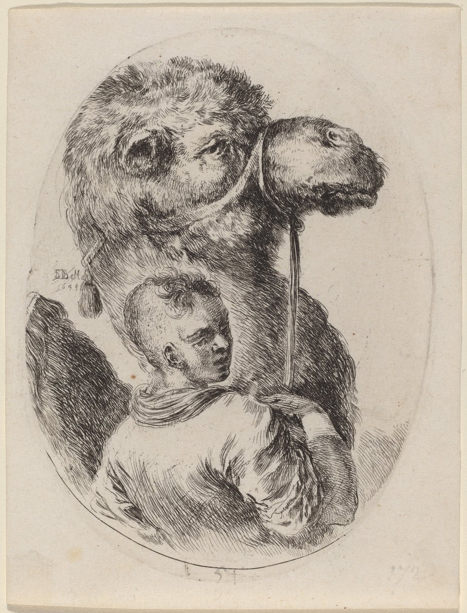 Pan młody z wielbłądem, 1649. autorstwa Stefano della Bella