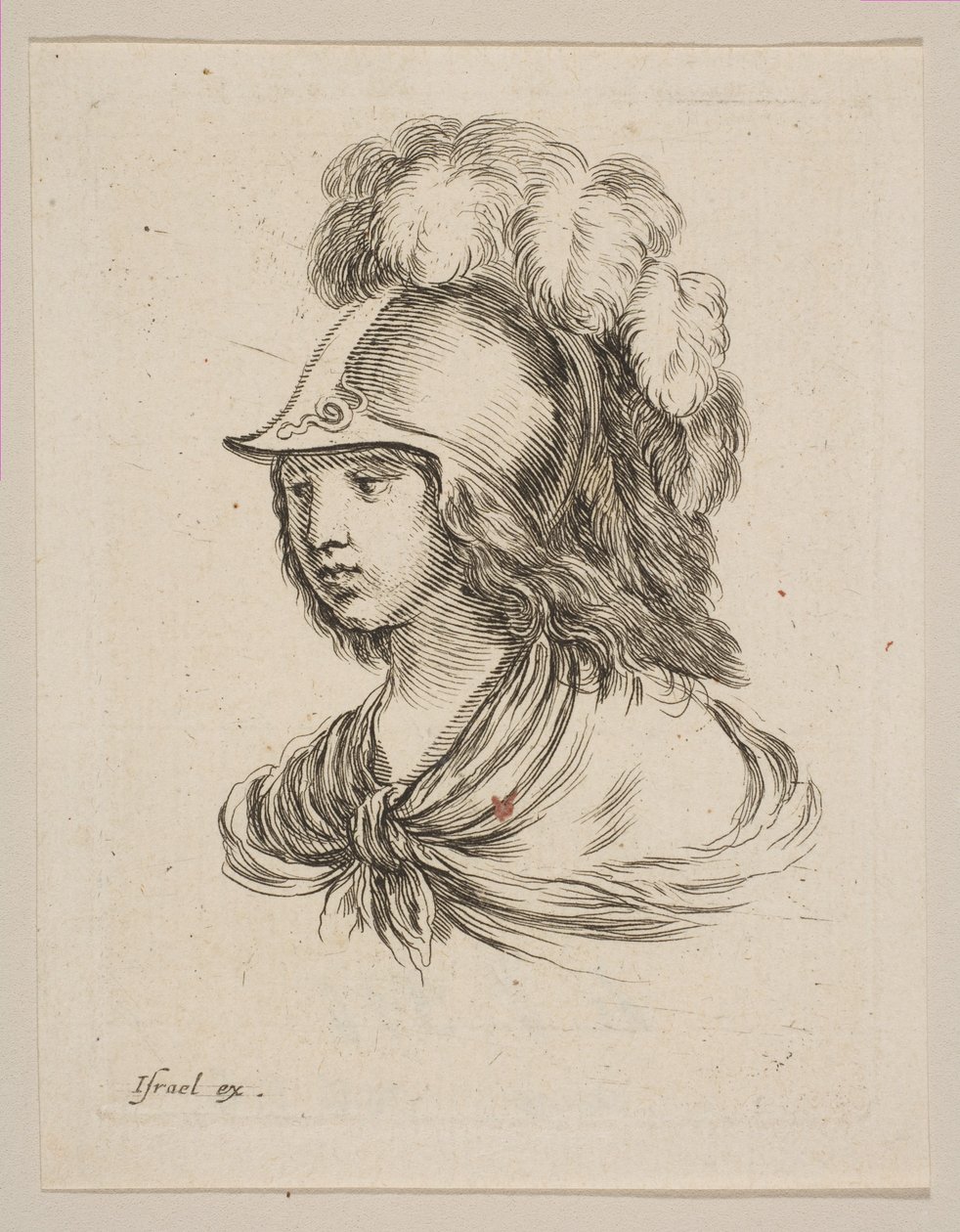 Głowa Minerwy, z „Różne głowy i figury” Diverses tétes et figures, 1650. autorstwa Stefano della Bella