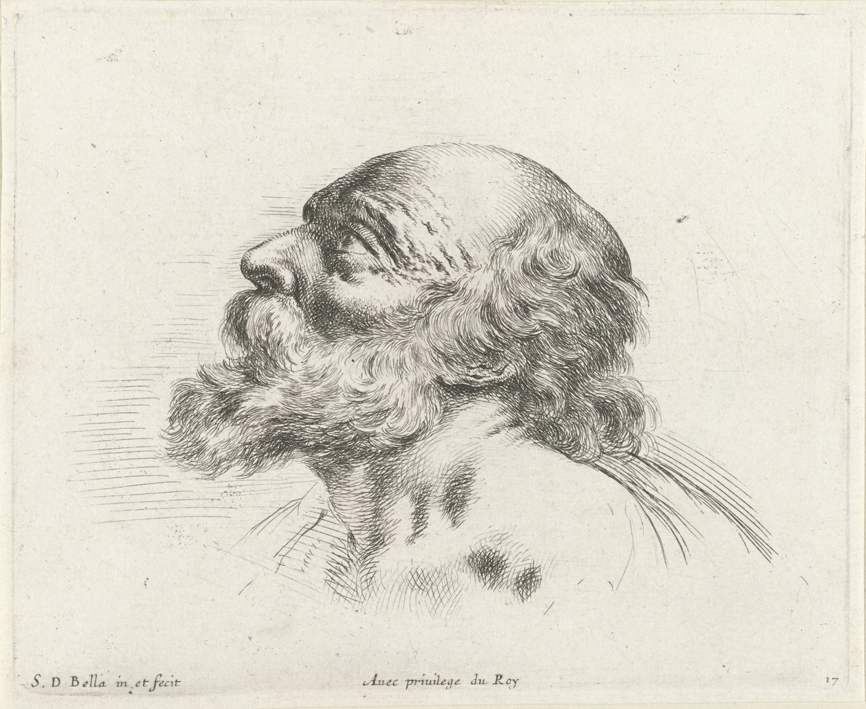 Głowa łysego starca z brodą, z profilu po lewej (prawdopodobnie św. Piotr) Podstawy rysowania (tytuł serii) I principii del disegno (tytuł serii) autorstwa Stefano della Bella