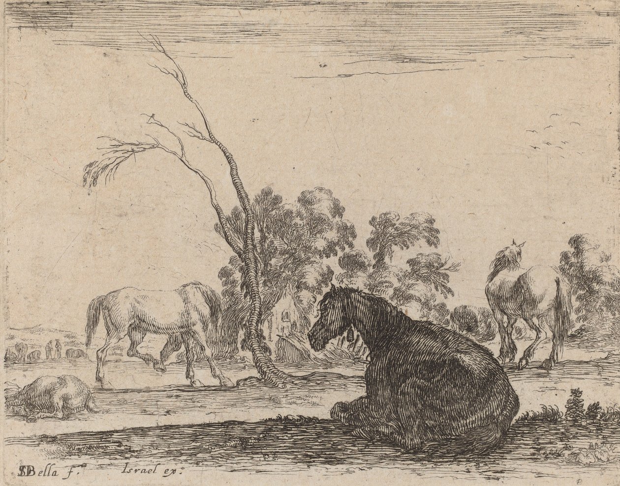 Konie na pastwisku, 1642. autorstwa Stefano della Bella