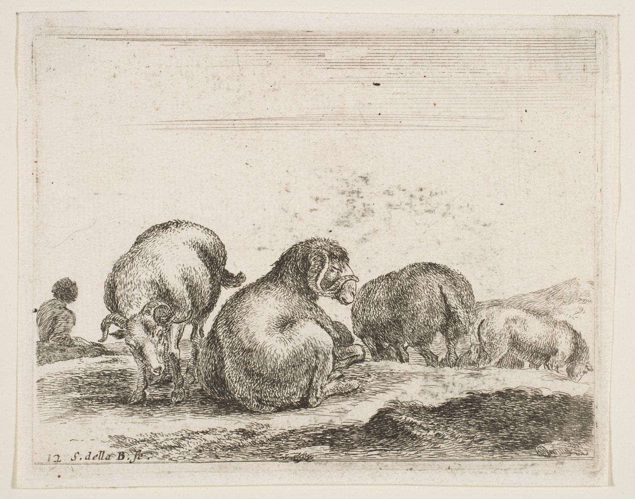 Tabliczka 12: owca i baran na pastwisku, z różnych zwierząt Diversi animali, ca. 1641. autorstwa Stefano della Bella