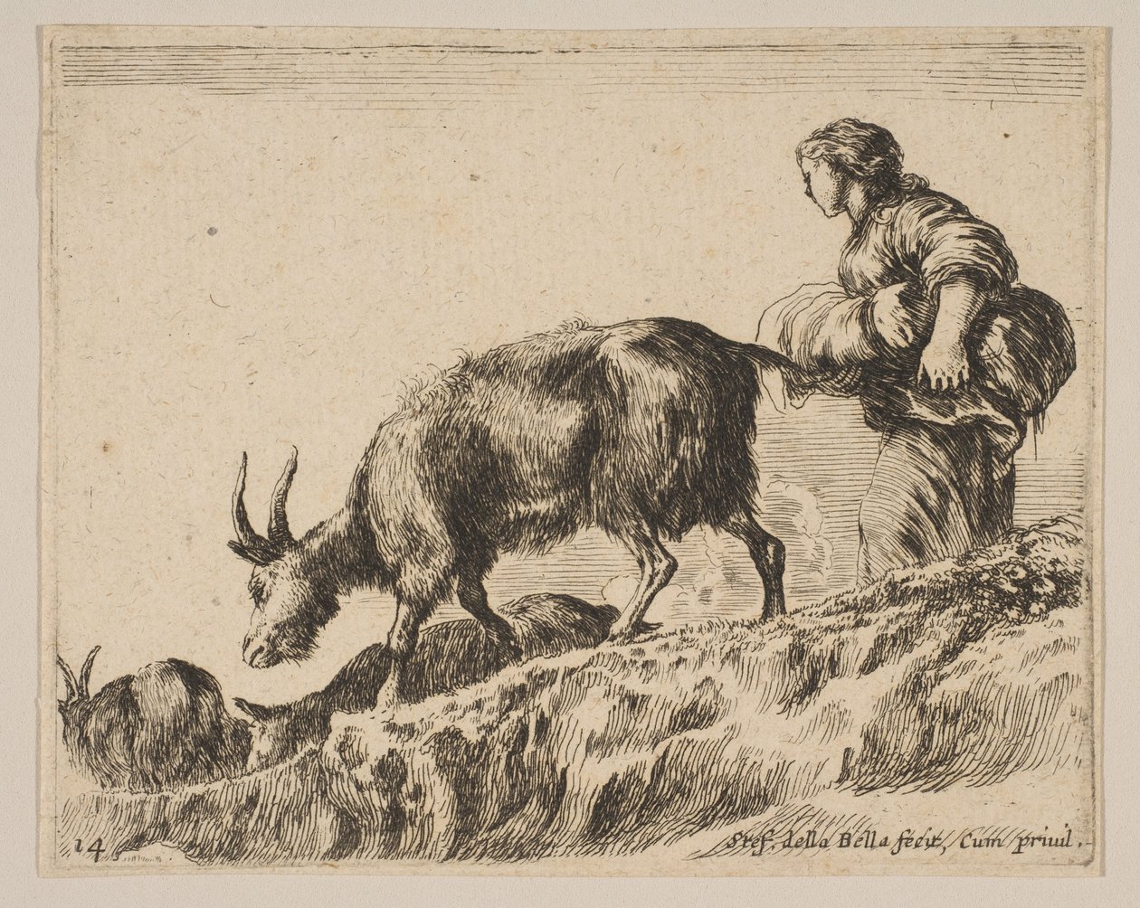Tabliczka 14: kozy pasterskie, ca. 1641. autorstwa Stefano della Bella