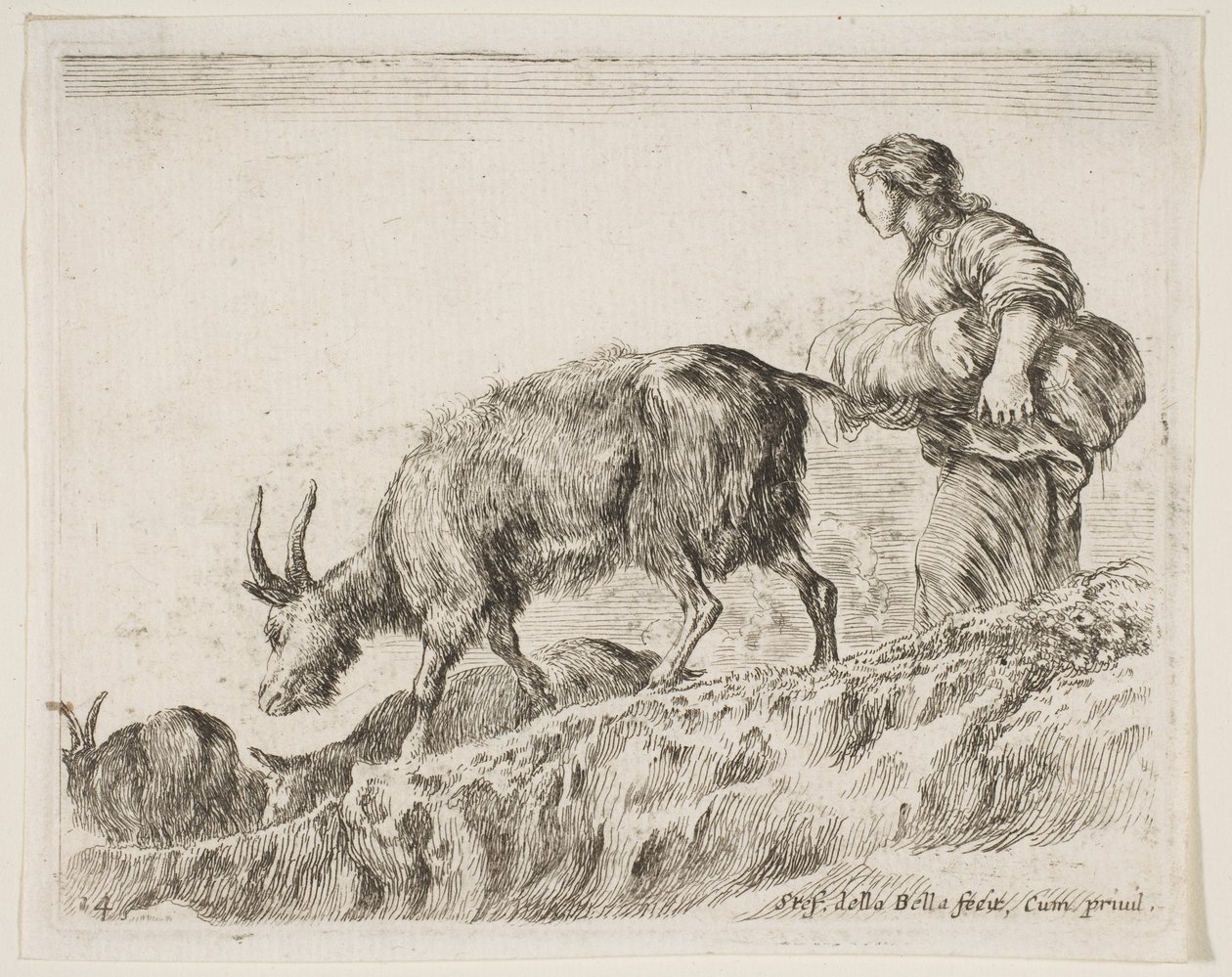 Tabliczka 14: kozy pasterskie z różnych zwierząt Diversi animali, ca. 1641. autorstwa Stefano della Bella