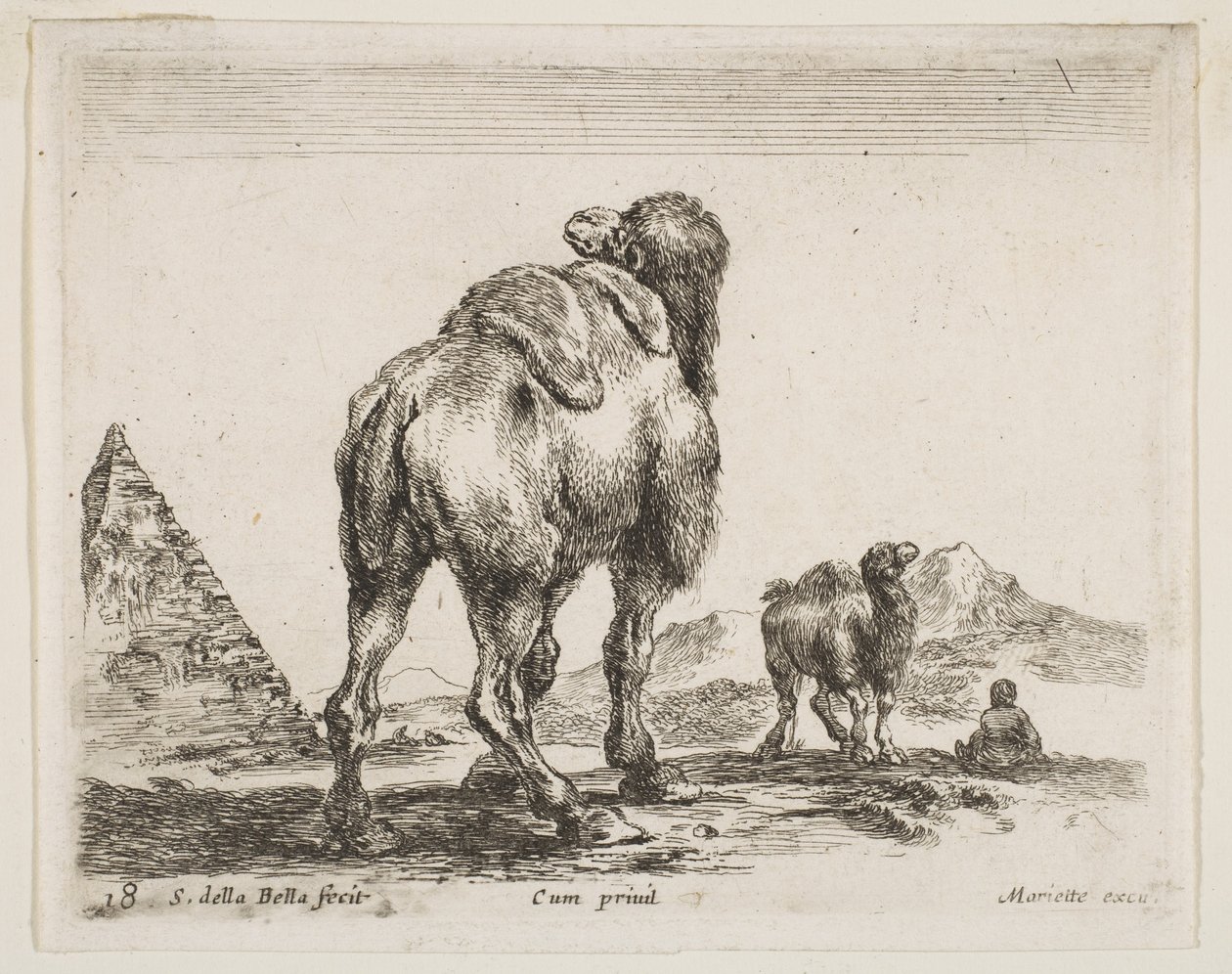 Ilustracja 18: wielbłąd oglądany od tyłu z piramidą po lewej, z różnych zwierząt Nurek..., ca. 1641. autorstwa Stefano della Bella