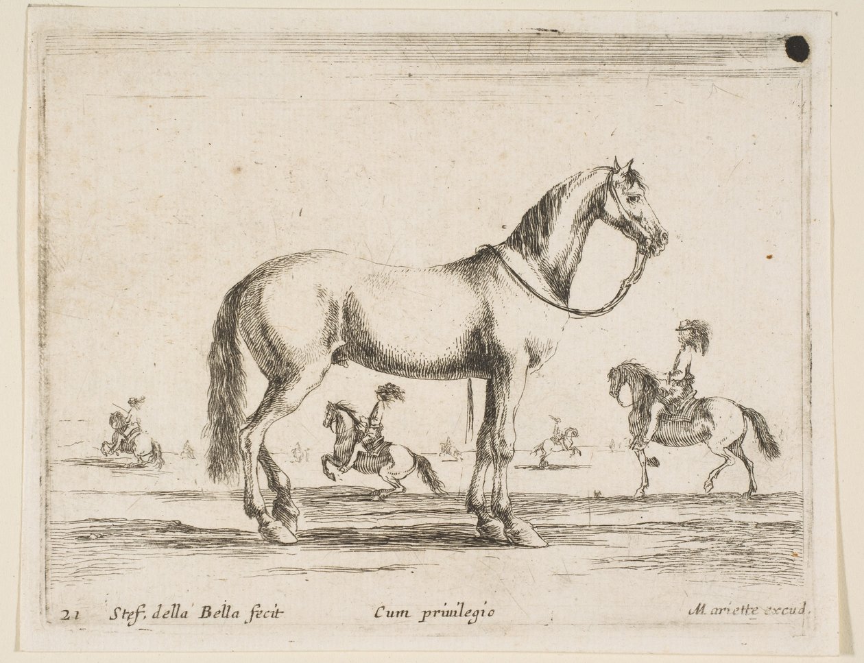 Tablica 21: koń, z różnych zwierząt Diversi animali, 1641. autorstwa Stefano della Bella
