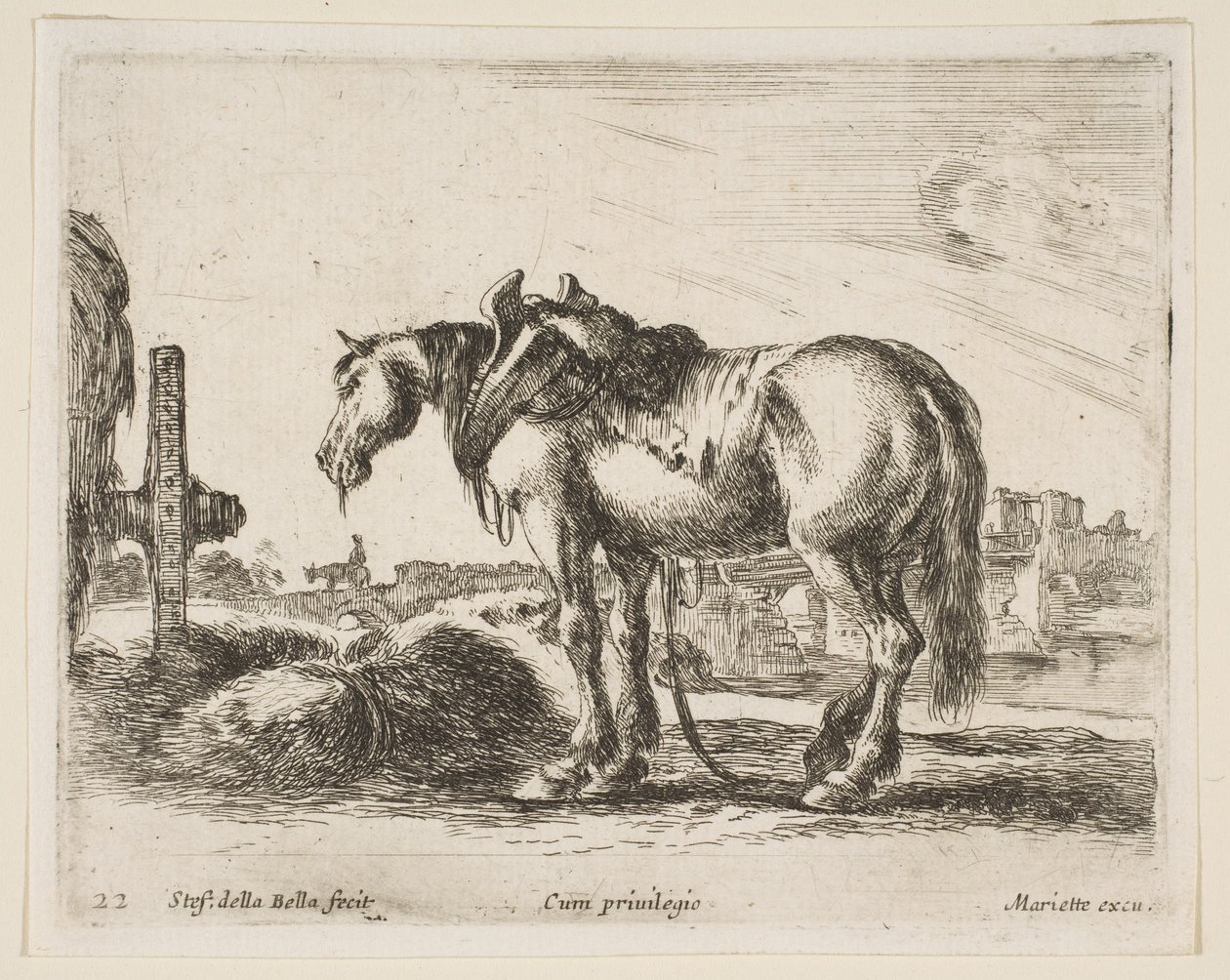 Tabliczka 22: koń zaprzęgowy, z różnych zwierząt Diversi animali, ca. 1641. autorstwa Stefano della Bella