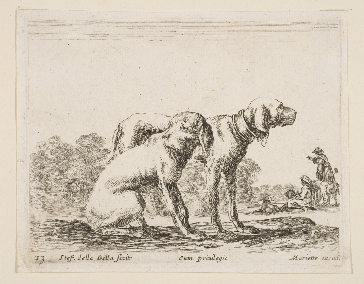 Tablica 23: dwa psy, z różnych zwierząt Diversi animali, ca. 1641. autorstwa Stefano della Bella