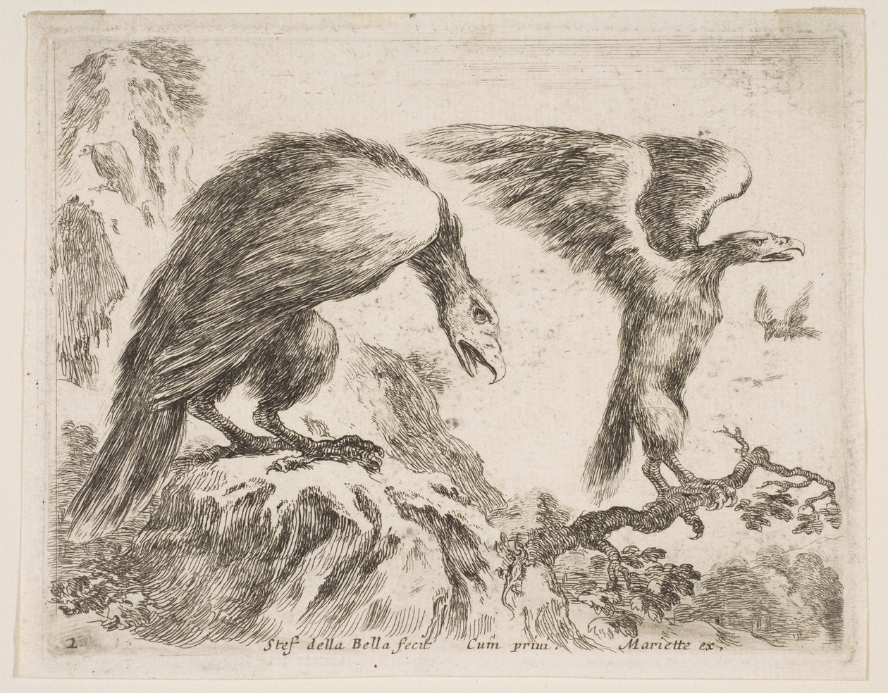 Zdjęcie 2: orzeł i orzeł, z różnych zwierząt Diversi animali, ca. 1641. autorstwa Stefano della Bella