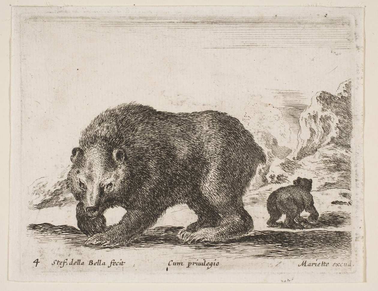 Tablica 4: niedźwiedź, z „Różne zwierzęta” Diversi animali, 1641. autorstwa Stefano della Bella