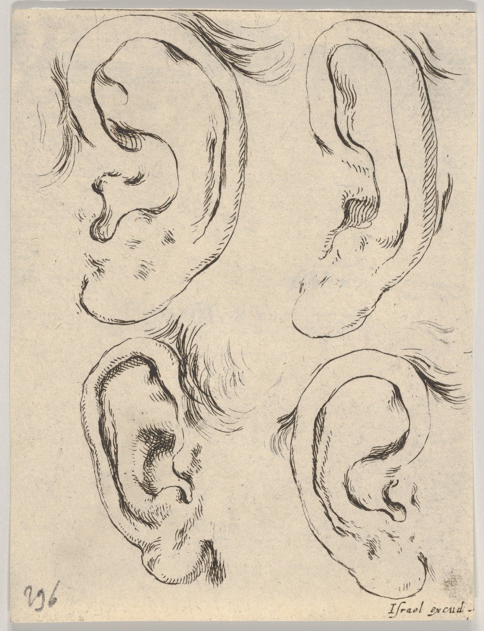 Tablica 5: cztery uszy, z Księgi do nauki rysowania Livre pour apprendre à dessi..., ca. 1649. autorstwa Stefano della Bella