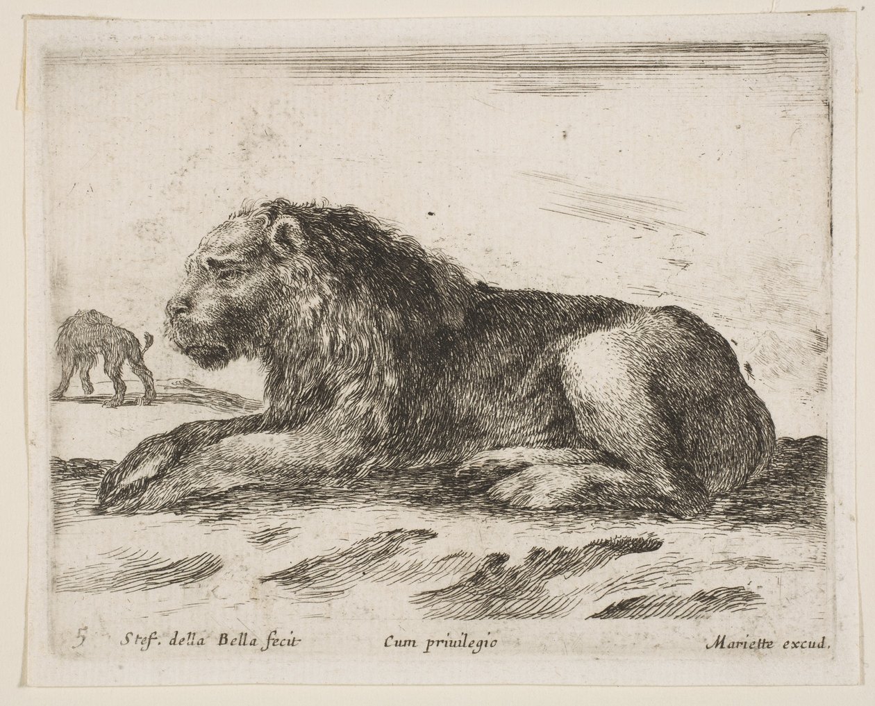 Tabliczka 5: leżący lew, z książki Różne zwierzęta Diversi animali, 1641. autorstwa Stefano della Bella
