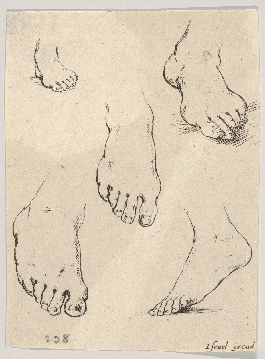Tablica 7: Pięć stóp, z Księgi do nauki rysowania Livre pour apprendre à dessi..., ca. 1649. autorstwa Stefano della Bella