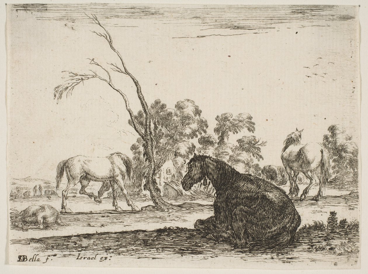 Tablica 8: koń siedzący po prawej stronie, widziany z tyłu i zwrócony w lewo, trzy inne konie..., 1642. autorstwa Stefano della Bella