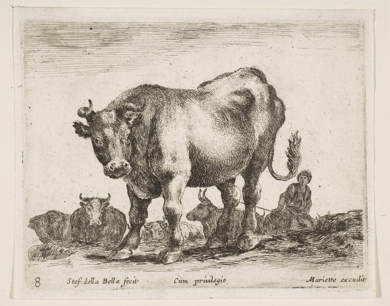 Tabliczka 8: krowa, z różnych zwierząt Diversi animali, ca. 1641. autorstwa Stefano della Bella