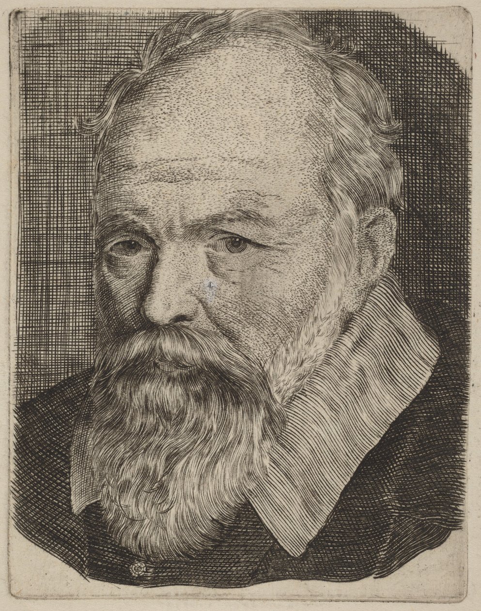 Portret mężczyzny autorstwa Stefano della Bella