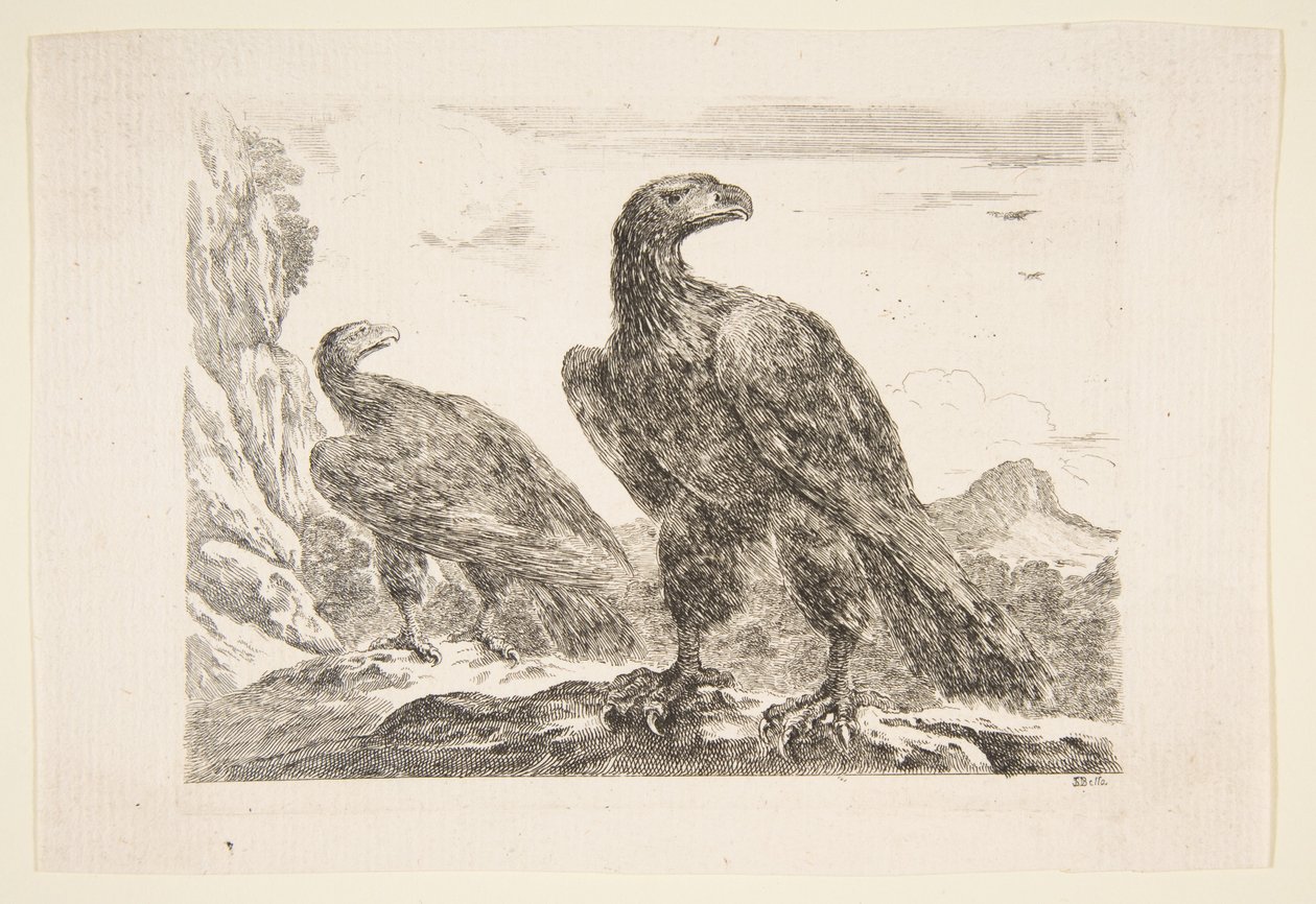Dwa orły z „Orłów” Les aigles, ca. 1651. autorstwa Stefano della Bella