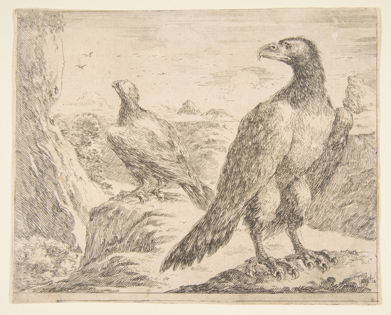 Dwa orły, z Eagles Les aigles, ca. 1651. autorstwa Stefano della Bella