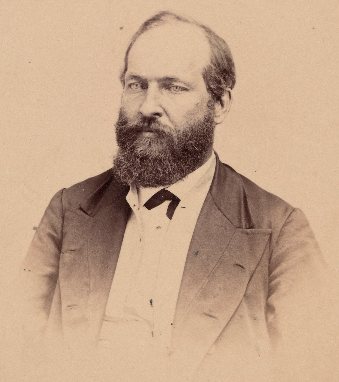 Portret Jamesa Abrama Garfielda 1831-1881, 1869. autorstwa Stein Bros