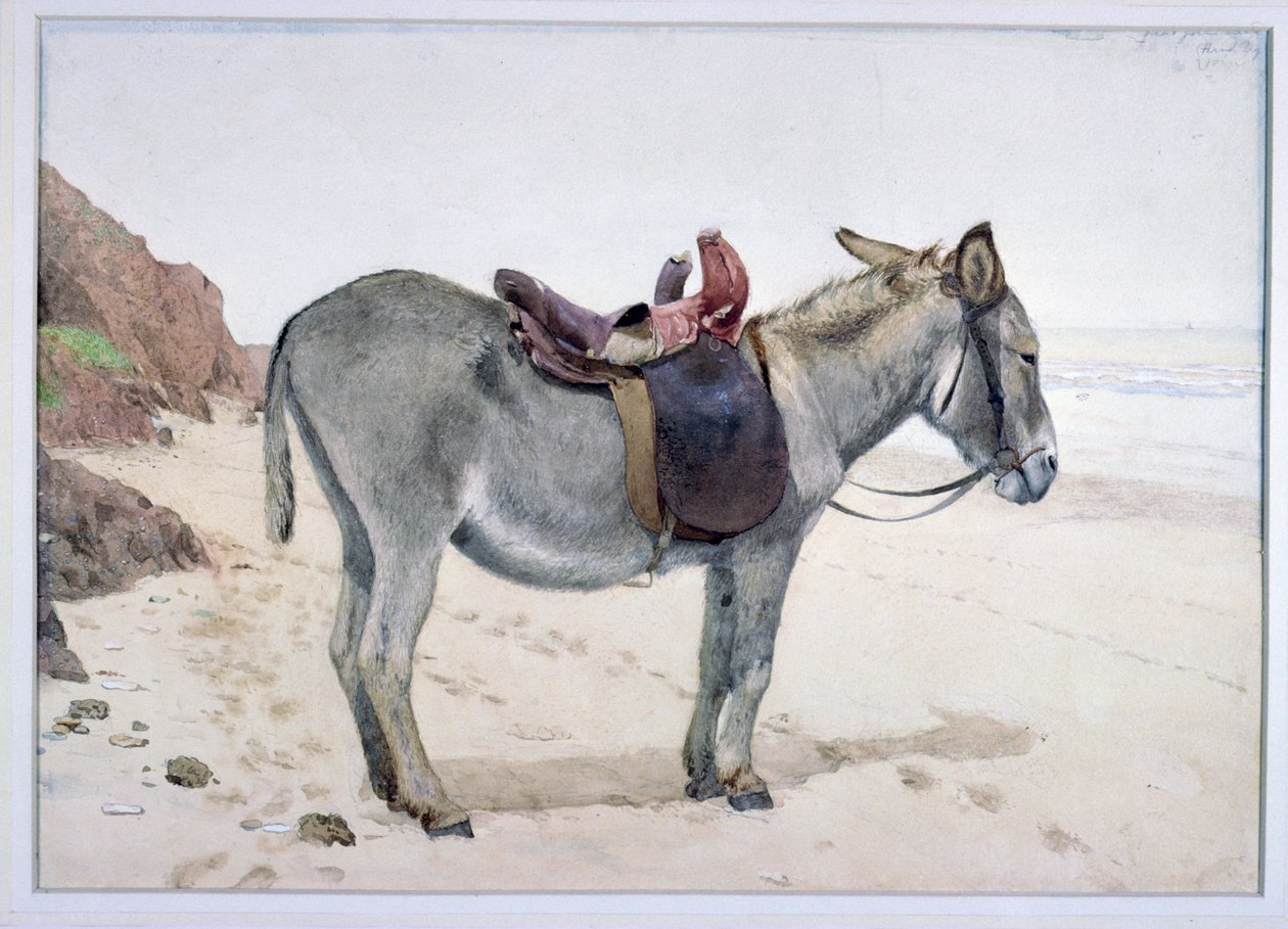 Badania nad zwierzętami (S.Ex.2-1885) autorstwa Stephen Briggs Carlil