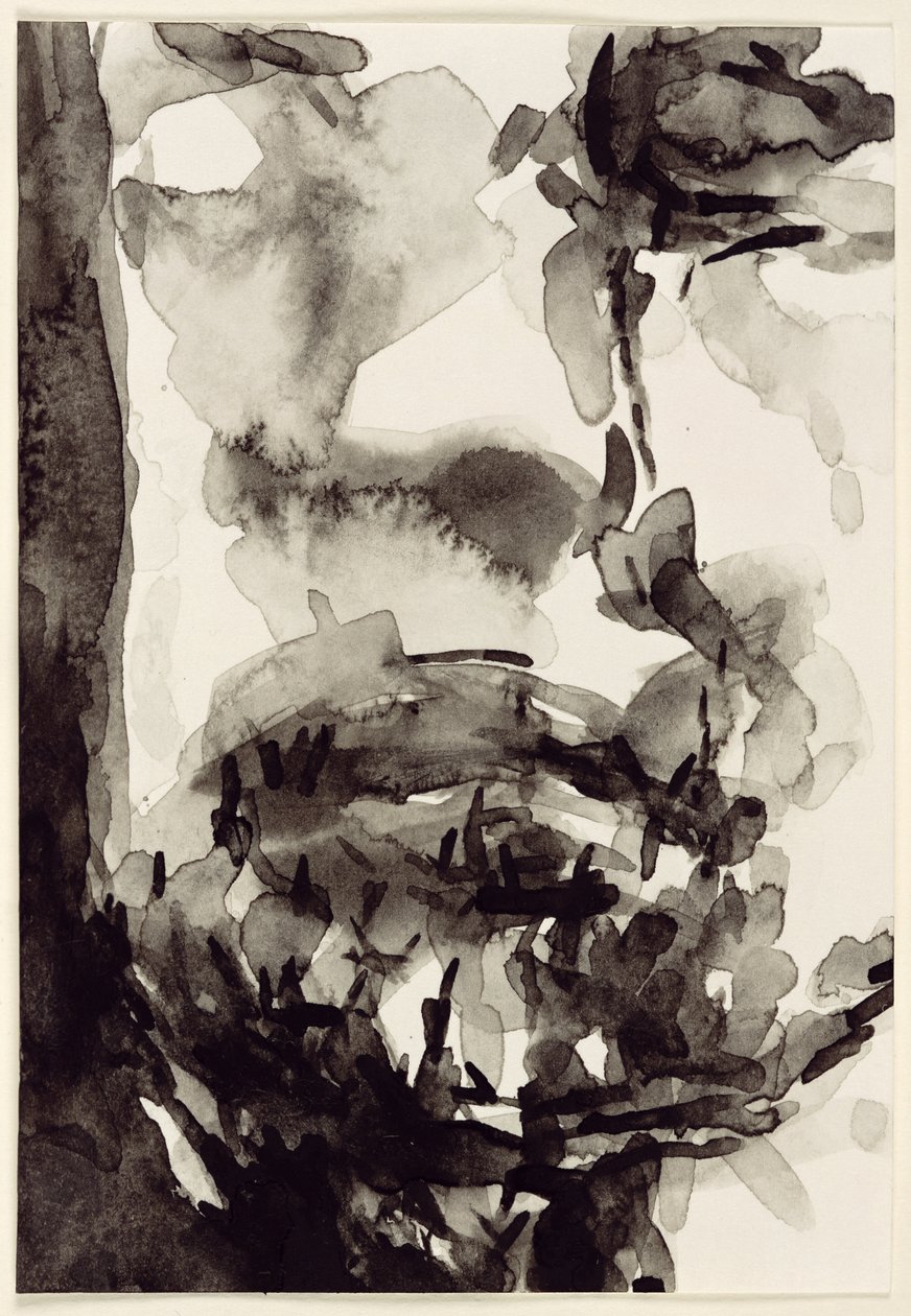 Twarz, 2001 (wc na papierze) autorstwa Stephen Finer