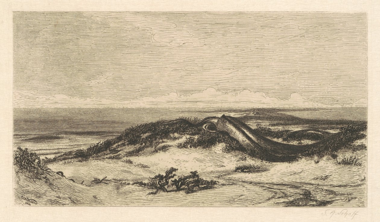 Wąż morski autorstwa Stephen Alonzo Schoff, after Elihu Vedder