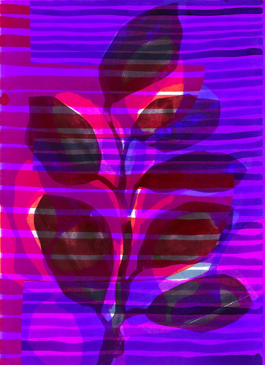 Botaniczny pasek I, 2018 (cyfrowy) autorstwa Stephen Dow
