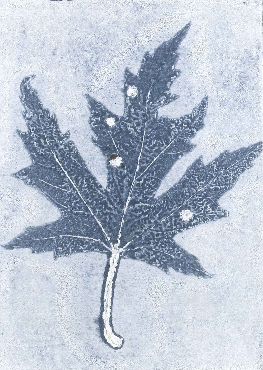 Gone II, 2015 (monoprint na papierze) autorstwa Stephen Dow