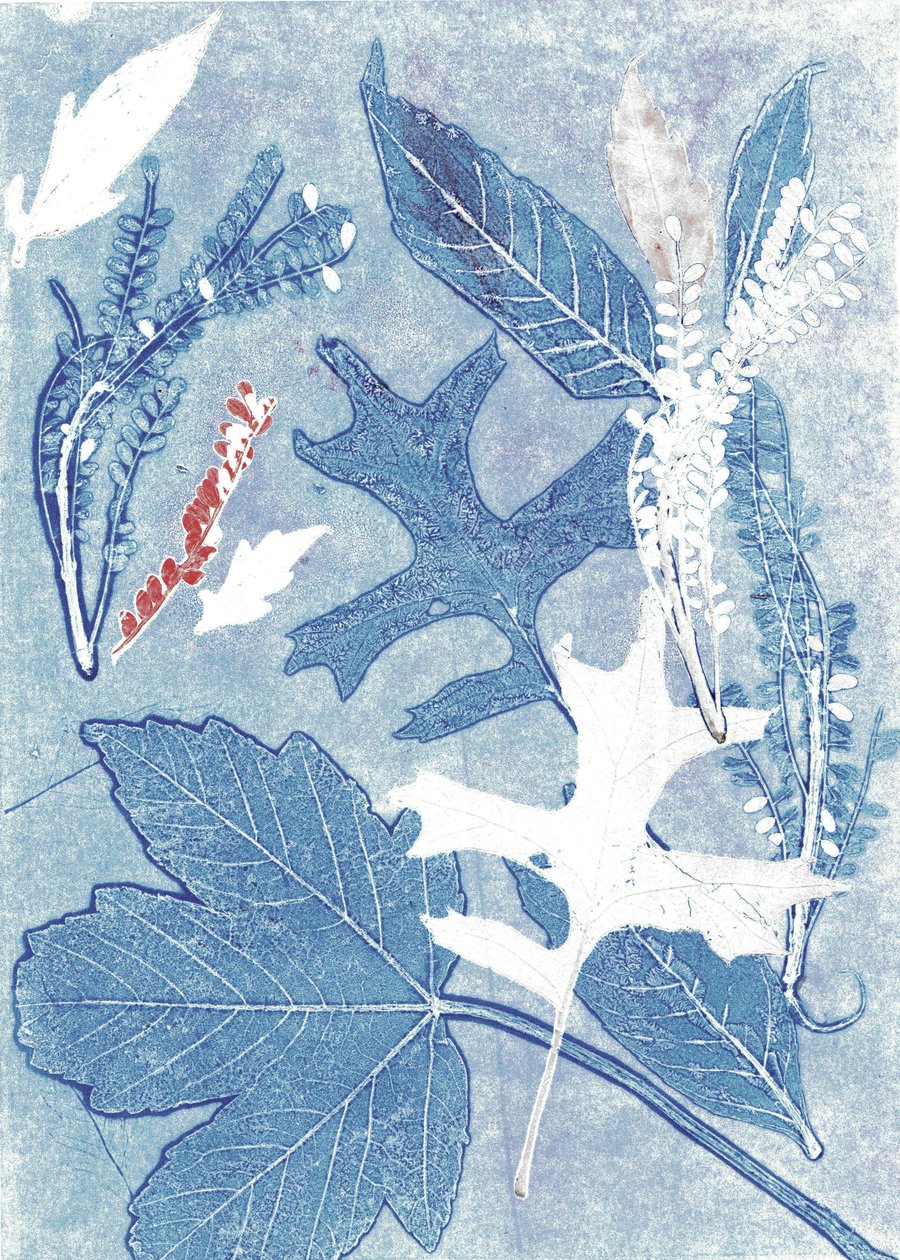 Jol II, 2017 (monoprint na papierze) autorstwa Stephen Dow