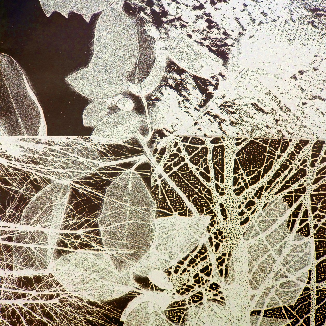 Night Forest, 2018 (w wersji cyfrowej) autorstwa Stephen Dow
