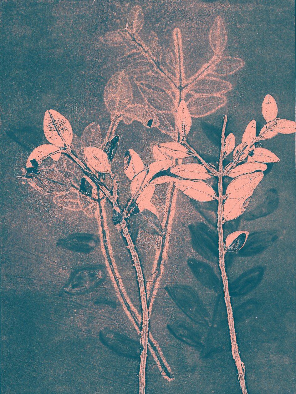 Sezon VI, 2018 (w wersji cyfrowej) autorstwa Stephen Dow