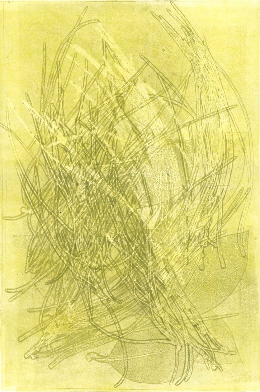 Letni ogród V, 2015 (monoprint na papierze) autorstwa Stephen Dow