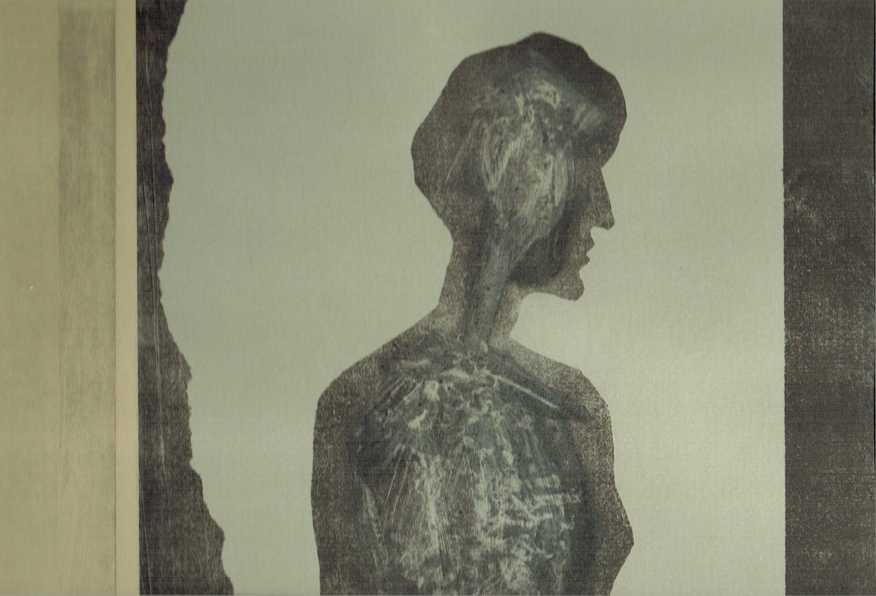 la Foret XII, 2017 (kolaż) autorstwa Stephen Dow