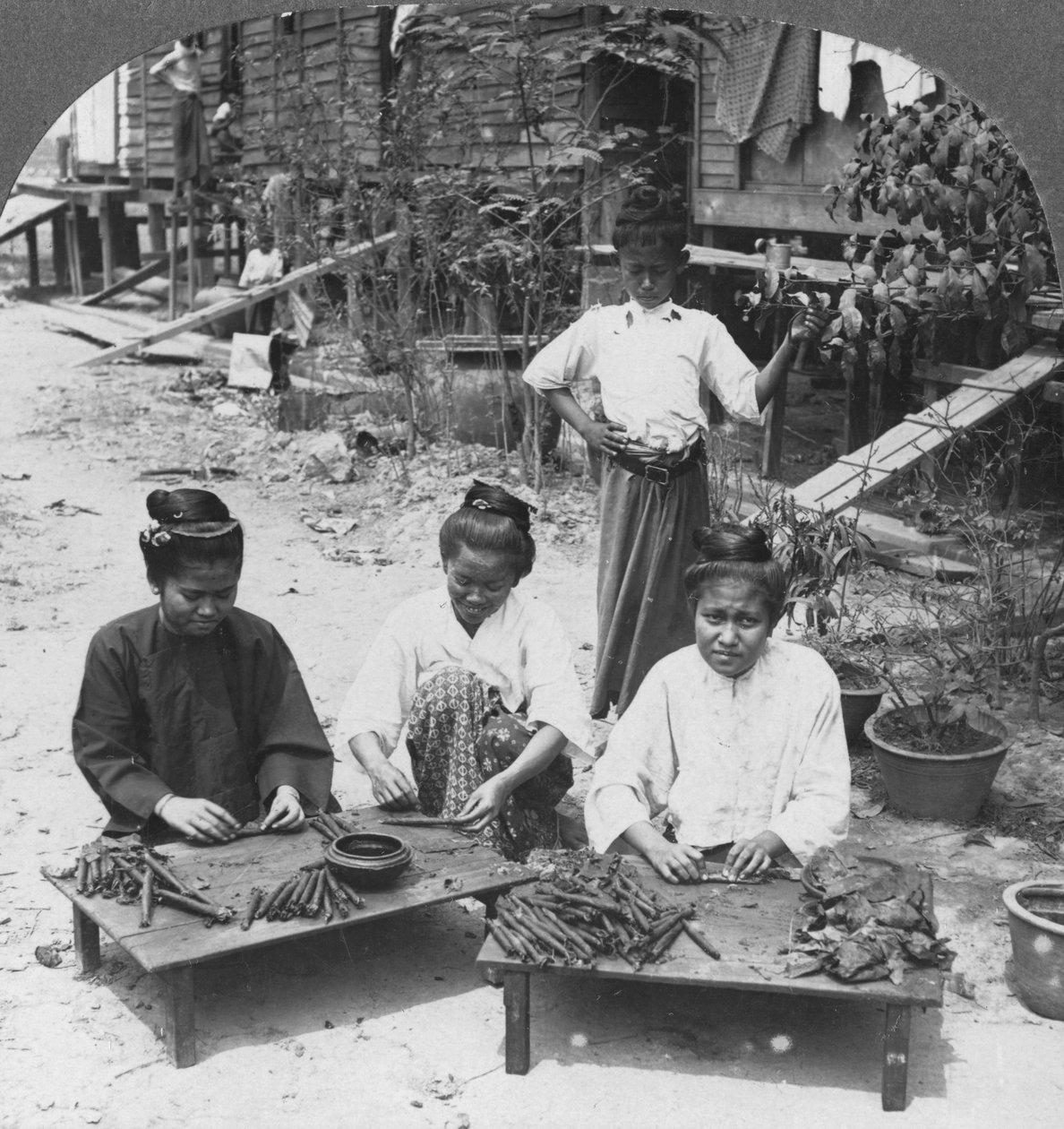 Robienie wielkich cygar palonych przez kobiety, Birma, 1908 autorstwa Stereo Travel Co