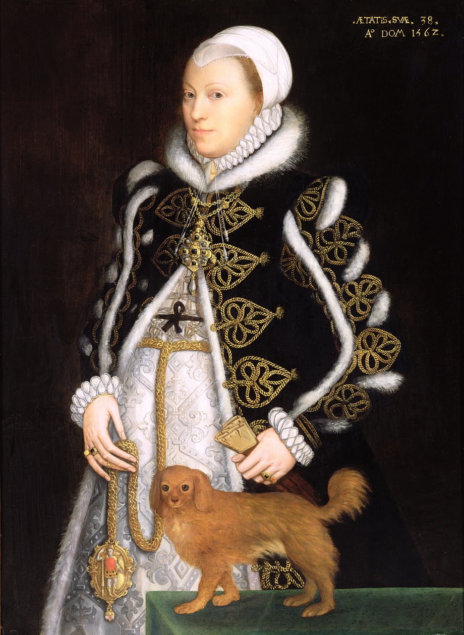 Portret kobiety, prawdopodobnie Catherine Carey, Lady Knollys autorstwa Steven van der Meulen