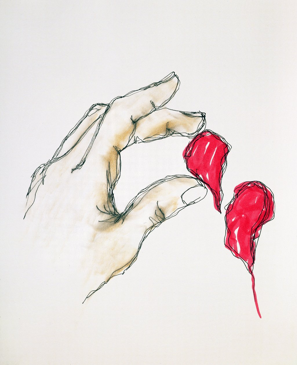 Kawałek twojego serca, 1996 (pióro i toaleta na papierze) autorstwa Stevie Taylor