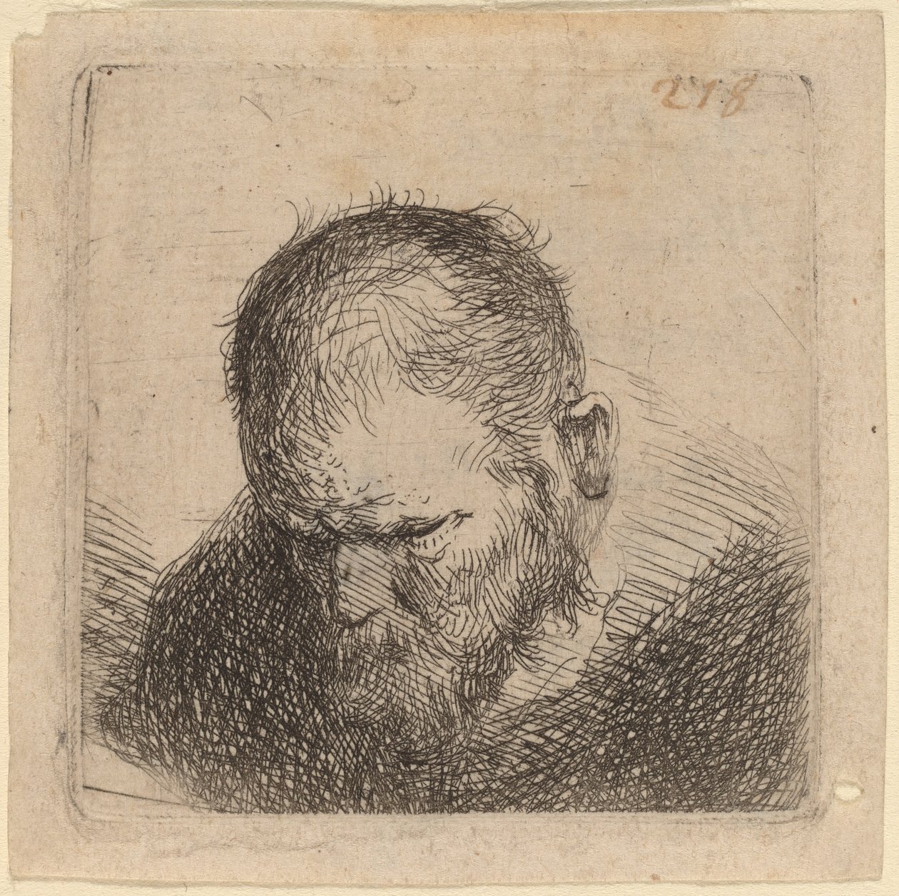 Brodaty mężczyzna patrzący w dół autorstwa Studio of Rembrandt van Rijn