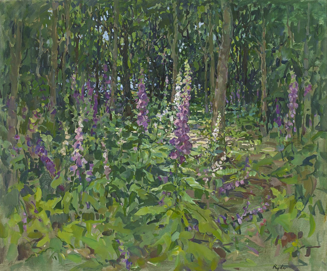 Naparstnice autorstwa Susan Ryder