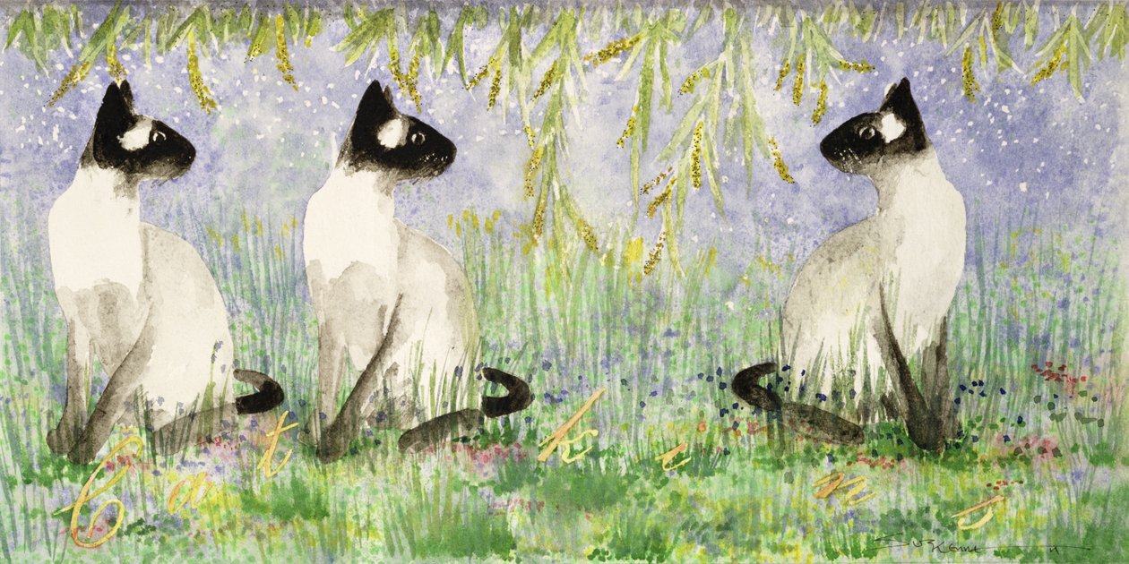 Cat Kins (wc na papierze) autorstwa Suzi Kennett