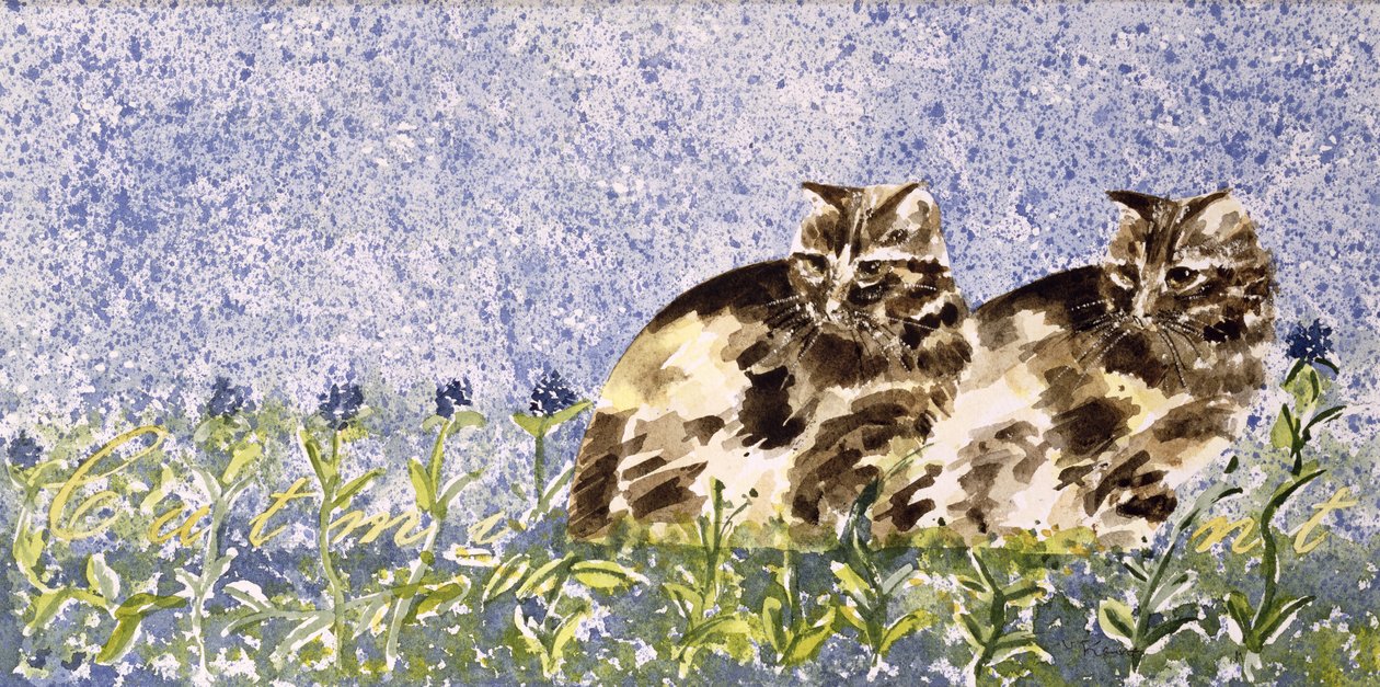 Cat Mint (wc na papierze) autorstwa Suzi Kennett