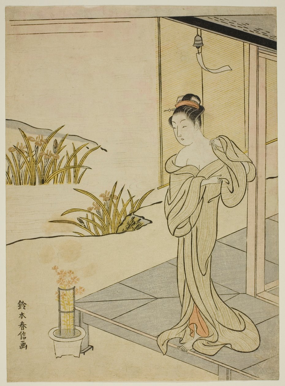 Lato, z cyklu „Nowe wersje kwiatów czterech pór roku (Shinpan furyu shiki no hana)” autorstwa Suzuki Harunobu
