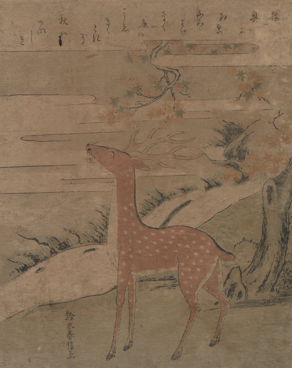 Krzyk jelenia, ca. 1760 r., ok. 1760 r. 1760. autorstwa Suzuki Harunobu