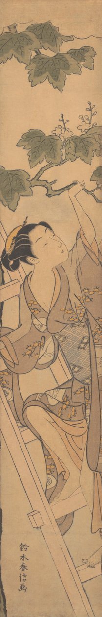 Młoda kobieta wspinająca się po drabinie, ca. 1768 r., ok. 1768 r. 1768. autorstwa Suzuki Harunobu